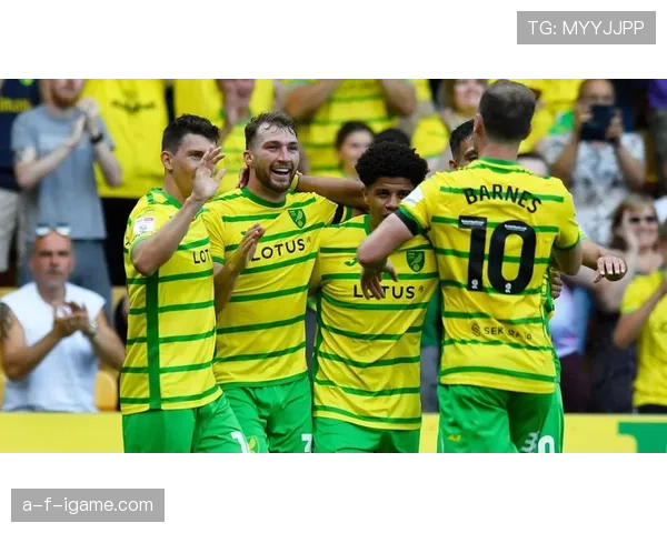 诺维奇金丝雀新赛季展望：五大潜力新星或将闪耀英冠赛场