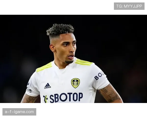 拉菲尼亚5800万欧元加盟后状态引关注，转会表现成焦点