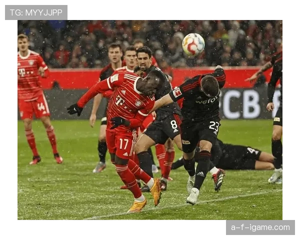 德甲关键转会事件：多队补强阵容，竞争格局迎来新变化